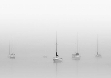 Six Moored Sailboats by Nicholas Bell art print