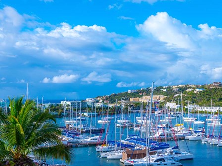 Oyster Pond Bay, St. Maarten by Jack Reed art print