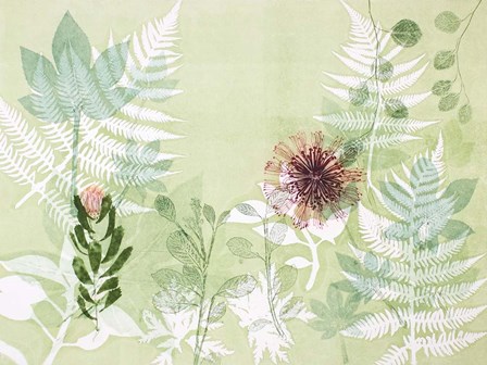 A Myriad Celebration of Plants by Trudy Rice art print