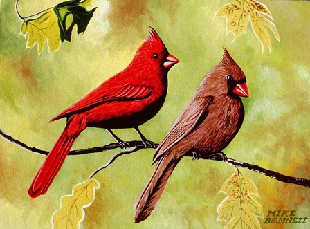 Cardinals by Mike Bennett art print
