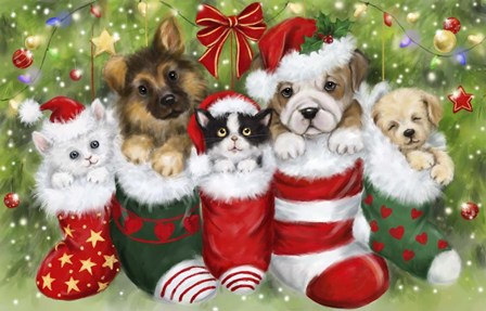 Dogs in Stockings by Makiko art print
