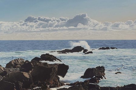 Ucluelet Afternoon by Ron Parker art print