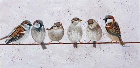 House Sparrow by Julie Peterson art print