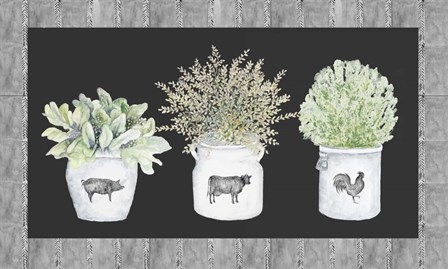 Potted Farm Arrangement Trio on Chalkboard by Janice Gaynor art print