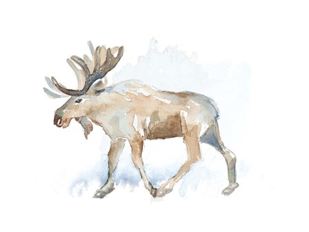 Watercolor Moose by Lanie Loreth art print