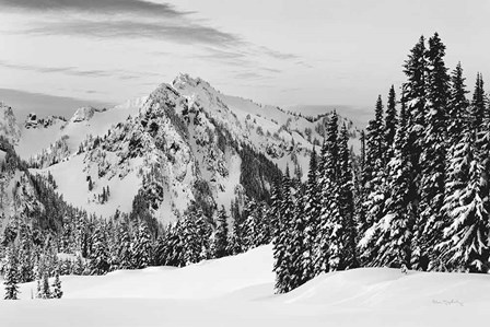 Tatoosh Range BW by Alan Majchrowicz art print