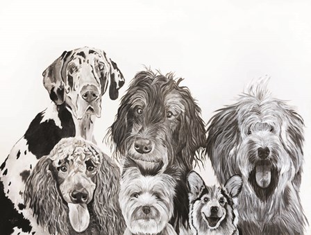 Lots of Dogs by Diane Fifer art print