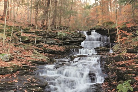 Waterfall Steps at Pigeon Run by Lori Deiter art print