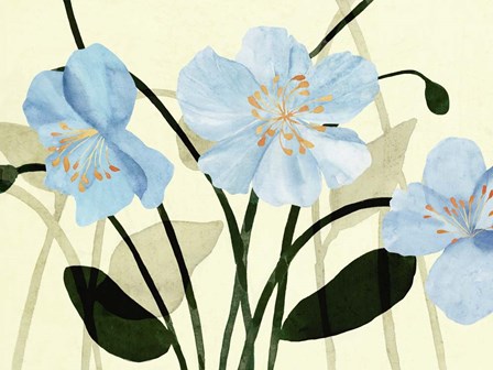 Blue Poppies I by Annie Warren art print