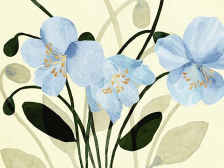 Blue Poppies II by Annie Warren art print