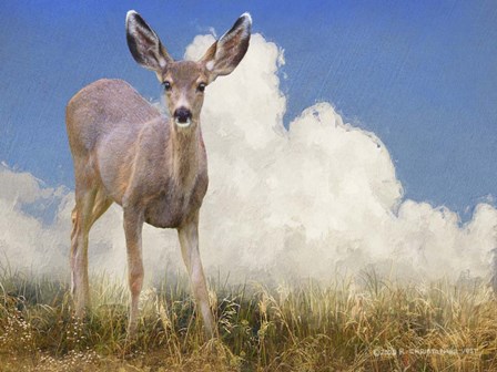 In the Meadow I by Chris Vest art print