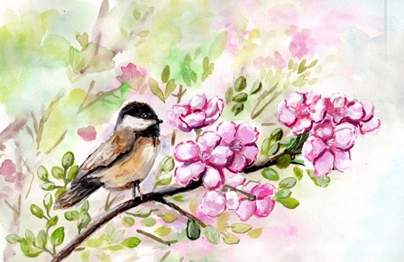 Spring Chickadee and Apple Blossoms by Marcy Chapman art print