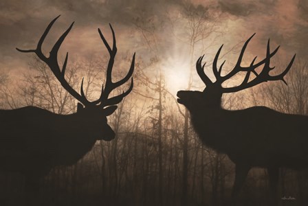 Elk Sunrise III by Lori Deiter art print