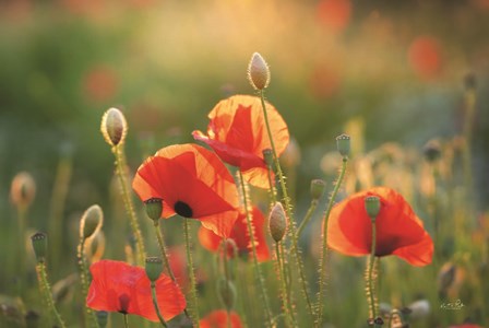 Poppy Field III by Martin Podt art print