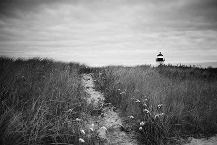 Nantucket Light by Aledanda art print