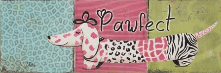 Pawfect by Patricia Pinto art print