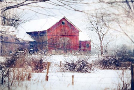 Winter Barn by Kelly Poynter art print