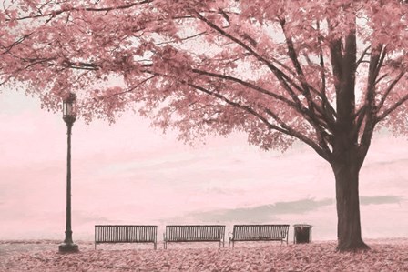 Moody Pink Day in the Park by Lori Deiter art print