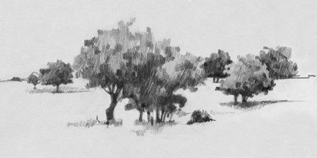 Treeline Sketch II by Emma Caroline art print