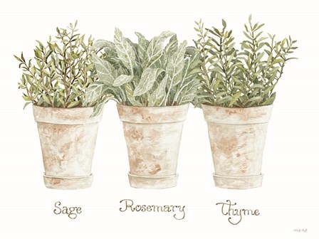 Herb Trio by Cindy Jacobs art print