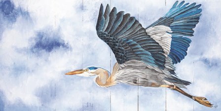 Spread Your Wings by Diane Fifer art print