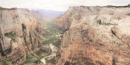 Zion National Park by Lori Deiter art print