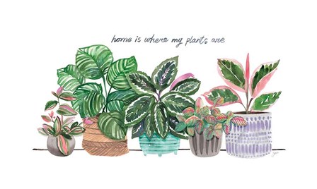Happy House Plants I by Karyn Panganiban art print