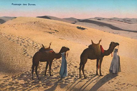 Desert Crossing by Wild Apple Portfolio art print