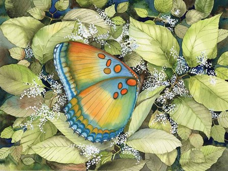 Royal Butterfly by Kathleen Parr McKenna art print