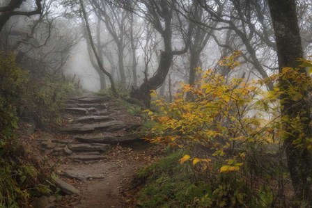 Stone Steps by Danny Head art print