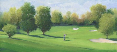 Fairway Shot I by Timothy O&#39;Toole art print