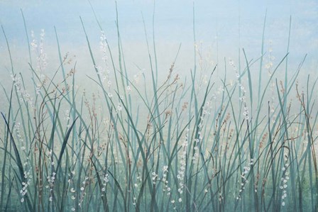 Tall Grass I by Timothy O&#39;Toole art print