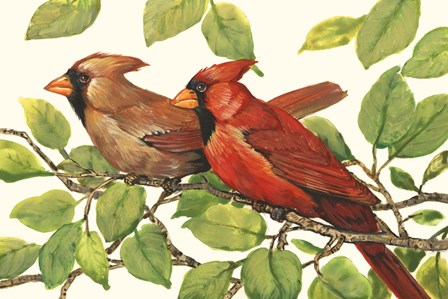 Cardinals by Timothy O&#39;Toole art print