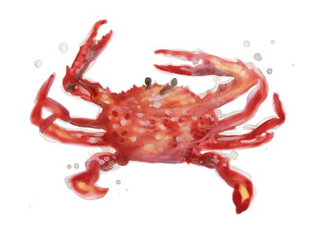 Crab Cameo IV by June Erica Vess art print