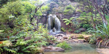 Rainforest waterfall by Pangea Images art print