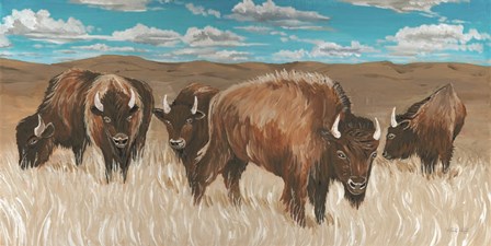 Bison Herd I by Cindy Jacobs art print