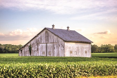 Rural Ohio Barn by Donnie Quillen art print