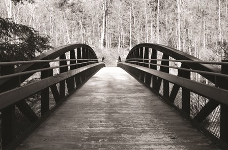 Wiconisco Creek Bridge by Lori Deiter art print