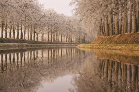 Frosty Reflections by Martin Podt art print