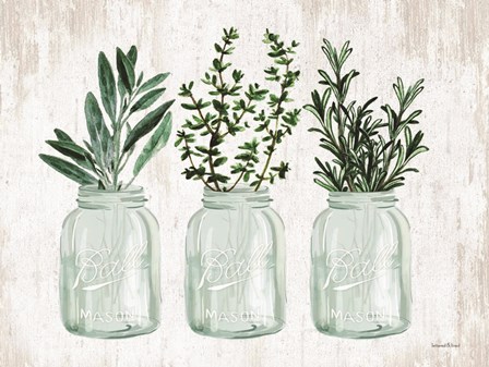 Herb Trio by Lettered &amp; Lined art print