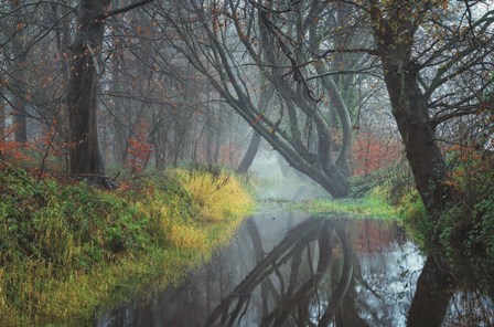 The Creek by Martin Podt art print