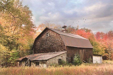 Autumn Dance by Lori Deiter art print