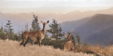 Cascade Mountain Deer by Lori Deiter art print