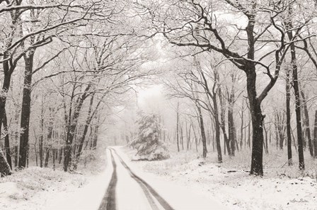 Wintry Road by Lori Deiter art print