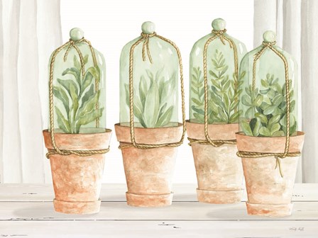 Herb Collection by Cindy Jacobs art print