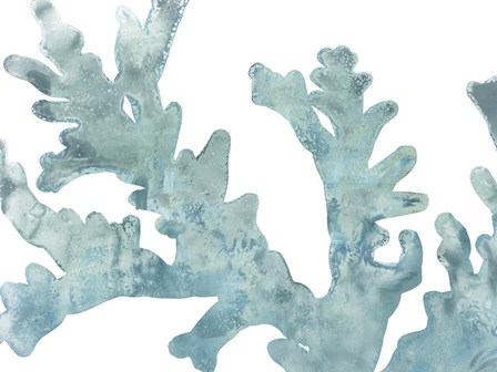 Blue Macro Coral II by June Erica Vess art print