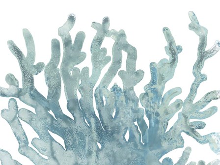 Blue Macro Coral III by June Erica Vess art print