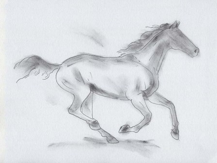 Smoke Stallion I by Jacob Green art print