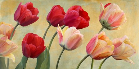 Golden Tulips by Luca Villa art print