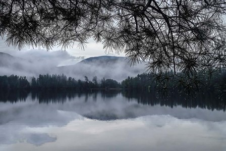 Rainy Day Cooper Lake by Kelly Sinclair art print